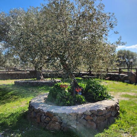 Iloghe Di Marras Hotel Loculi Екстериор снимка